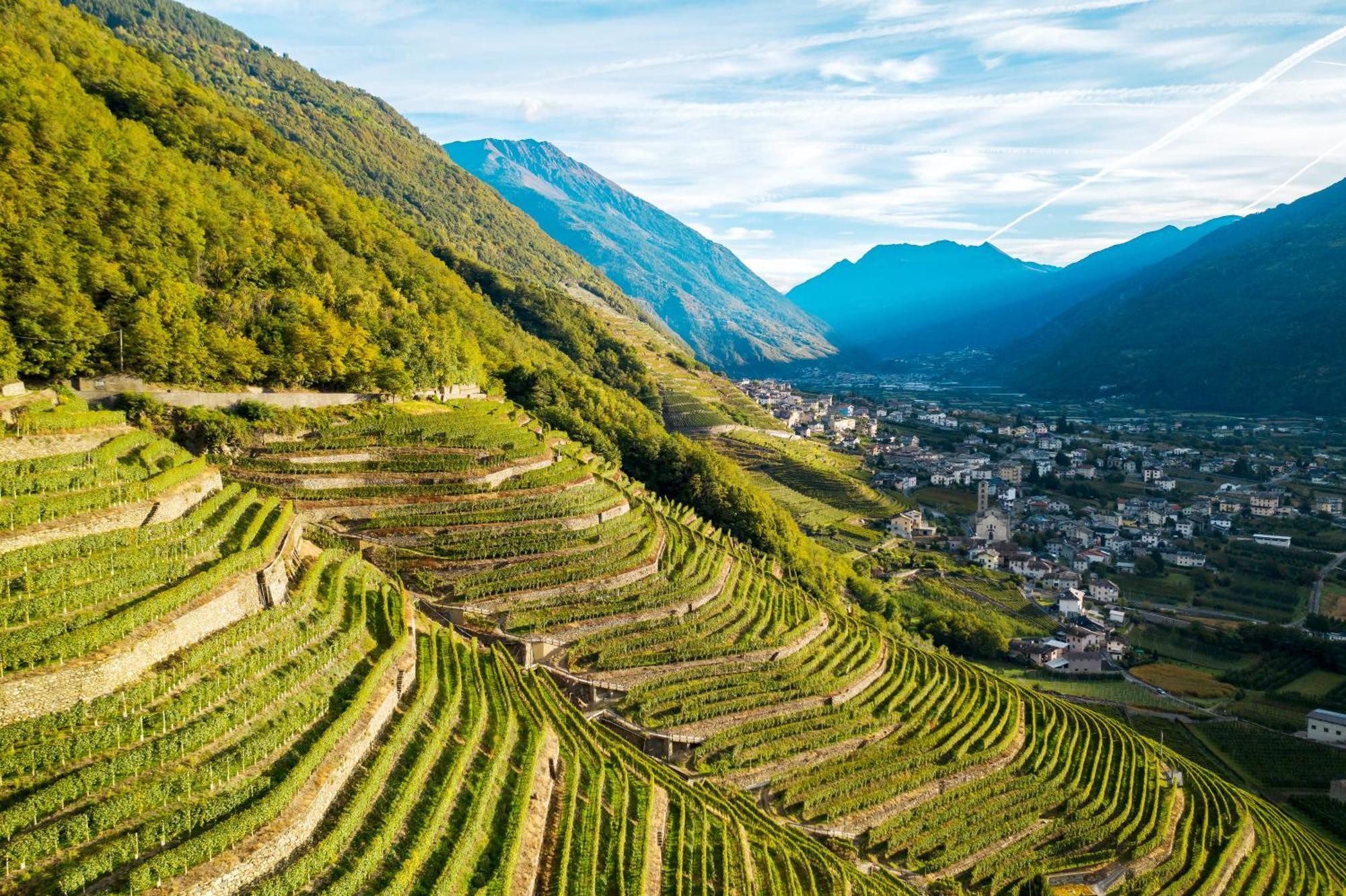 Agriturismo B&B Caffe E Vino Sondrio Dış mekan fotoğraf